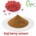 Pó de extrato orgânico de bagas de goji